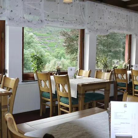 فندق Hotel-garni-kachelburg 3*