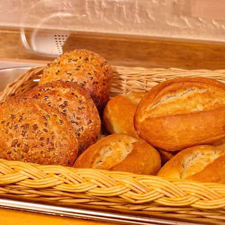 Hotel-garni-kachelburg فندق ديبليخ