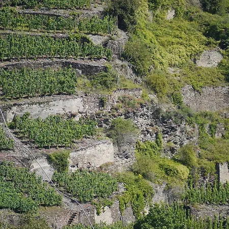 فندق Hotel-garni-kachelburg ديبليخ