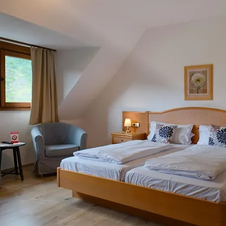 Hotel-garni-kachelburg 3* Dieblich